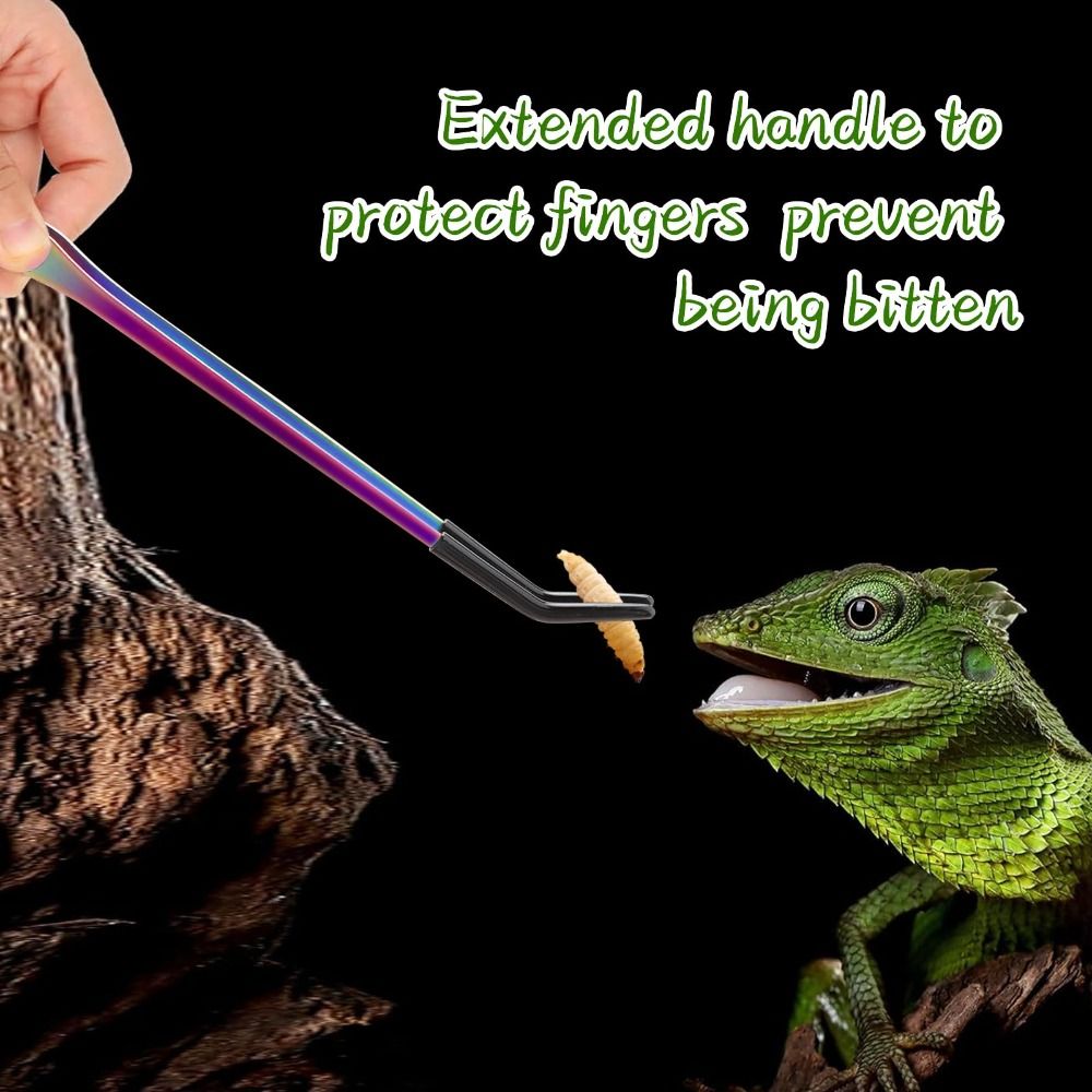 2PCS Stainless Steel Reptile F - Feeding Tong Stainless 评论和价格