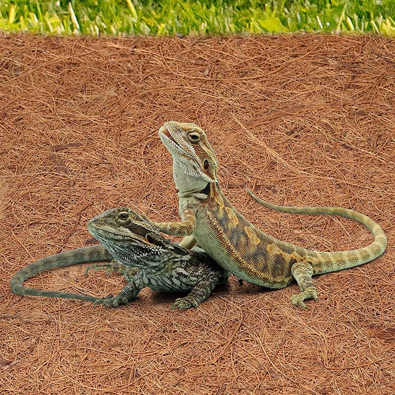 AB33-Natural Coconut Fiber Mat - Substrate Coconut Fiber 评论和价格