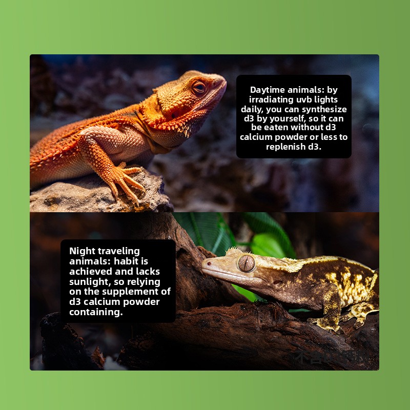 Reptizoo Reptile Calcium Powde - Vitamin D3 Reptile 评论和价格