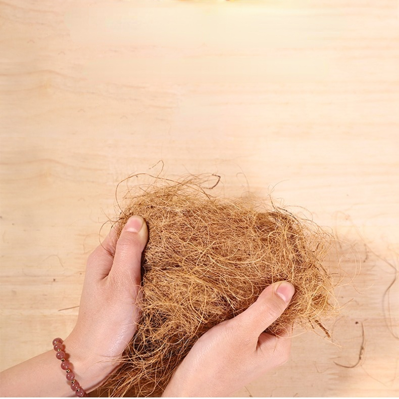 100g Finch Coconut Fiber Loose - Substrate Coconut Fiber 评论和价格